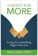 A Quest for More: Living for Something Bigger Than You by Paul Tripp